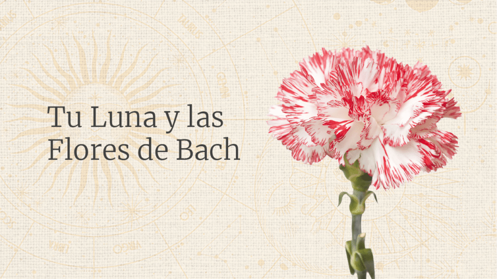 tu luna y las flores de bach