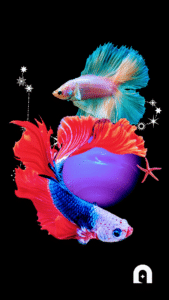 Fondo de pantalla de Piscis para el celular