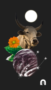 Fondo de pantalla de Tauro para el celular